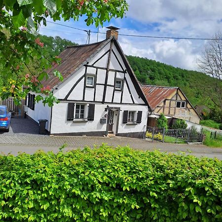 Landhaus Eifel Demerath Exterior photo